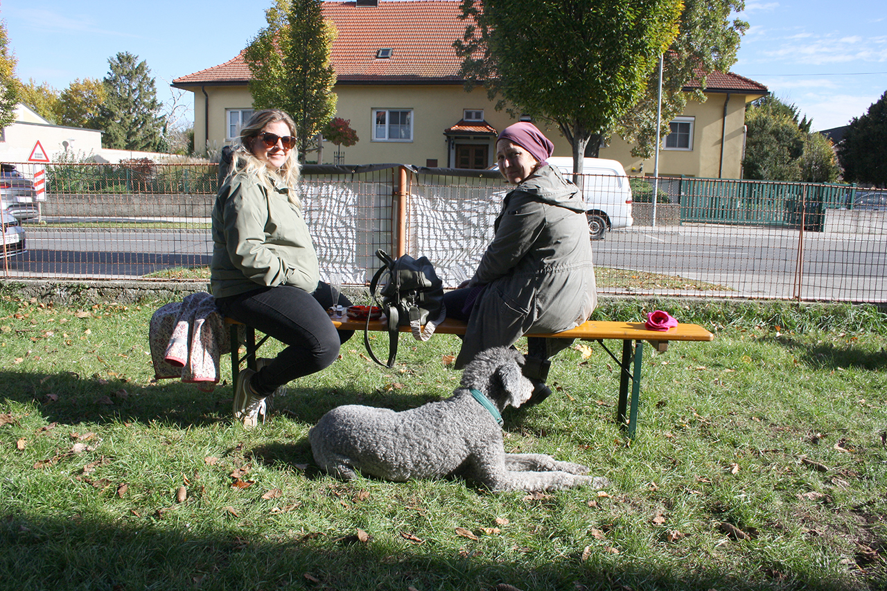 Fischamender Rallye - Teil 2